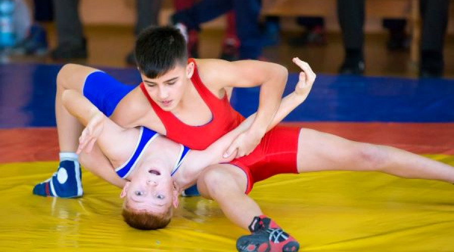 Результаты по вольной борьбе 06.09.2025 г.