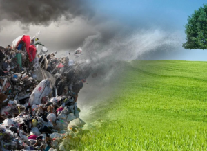 Опросник по оценке уровня региональной информированности об обращении с отходами