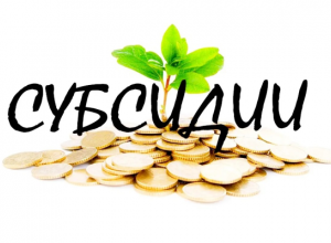 Субсидии на инвестиционные проекты по улучшению земель в рамках реализации Программы улучшения земель .