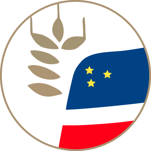 logo 01